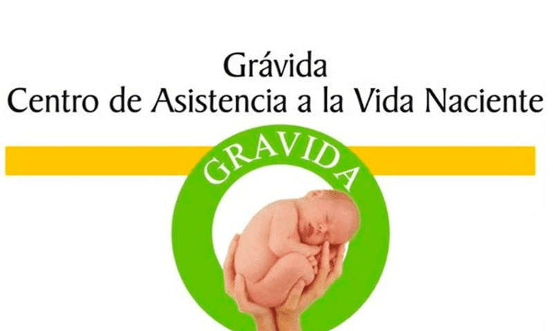 gravida theme