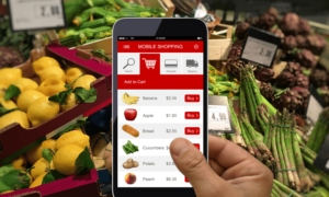 Grocery Delivery Mobile Application