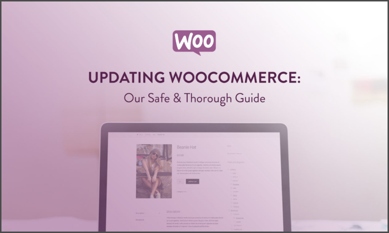 WooCommerce Developer Guide