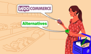 WooCommerce Alternatives
