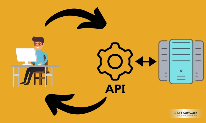 Why API Integration