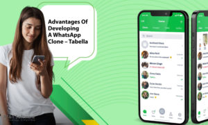Advantages Of Developing A WhatsApp Clone - Tabella