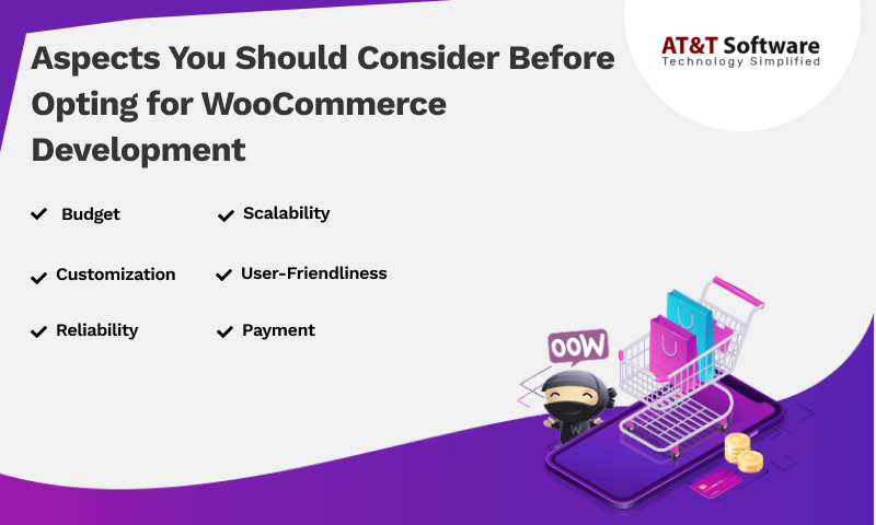 Aspects You Should Consider Before Opting for WooCommerce Development