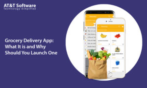 Grocery Delivery App What It is and Why Should You Launch One