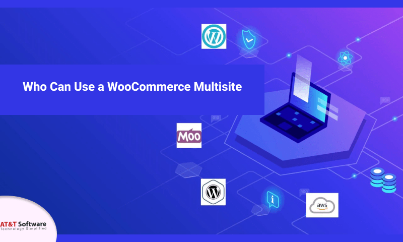 Who Can Use a WordPress Multisite
