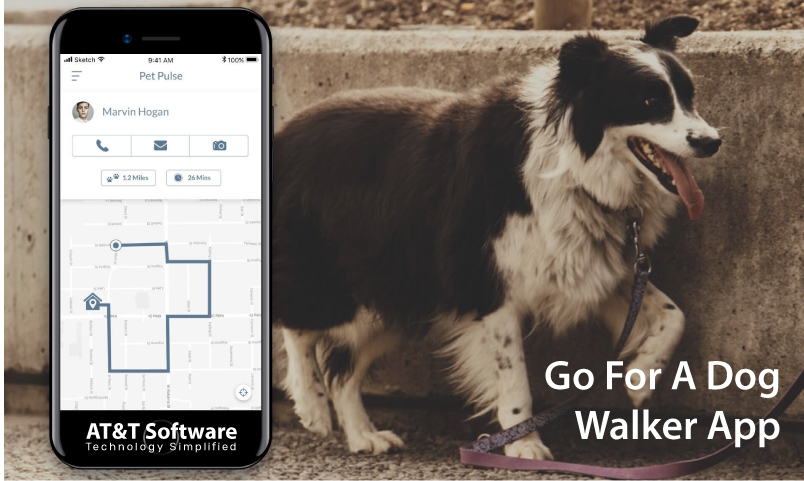 Why Go For A Dog Walker App