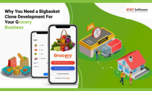 Why You Need a Bigbasket Clone Development For Your Grocery Business