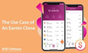 The Use Case of An Earnin Clone