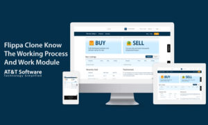 Flippa Clone- Know The Working Process And Work Module