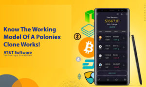 Know The Working Model Of A Poloniex Clone Works!