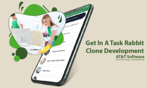What You Get In A Task Rabbit Clone Development