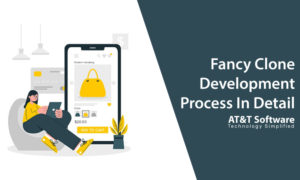 Fancy Clone Development Process In Detail