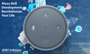 How Can An Alexa Skill Development Revolutionize Your Life