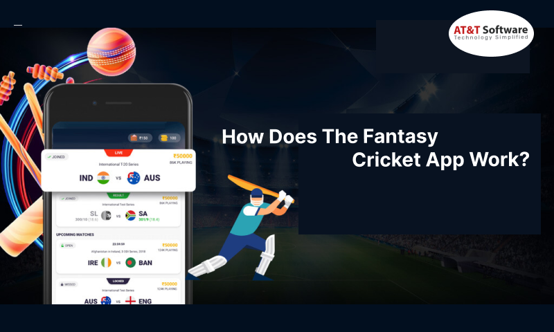 The Fantasy Cricket App Work