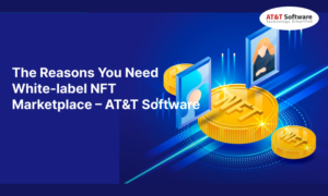 The Reasons You Need White-label NFT Marketplace - WebRock Media