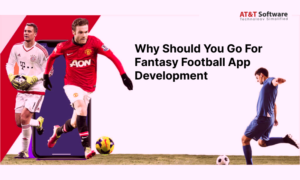 Why Should You Go For Fantasy Football App Development