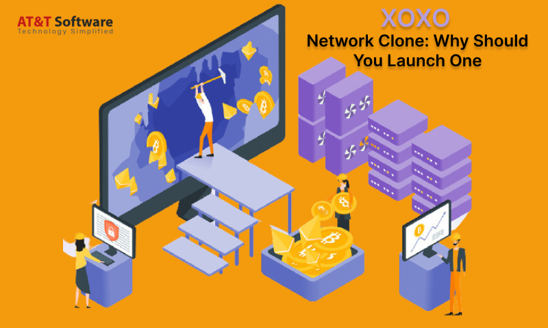 XOXO Network Clone: Why Should You Launch One