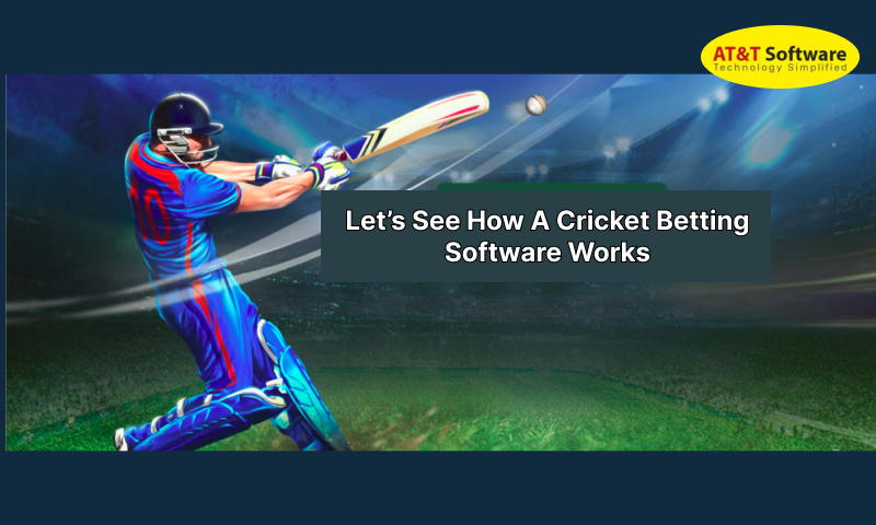 Let’s See How A Cricket Betting Software Works