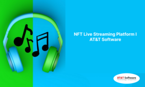 NFT Live Streaming Platform I WebRock Media