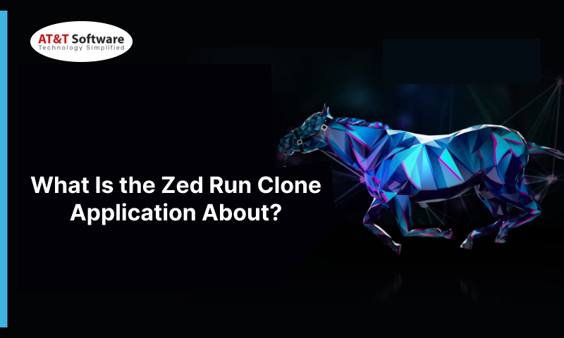the Zed Run Clone Application About