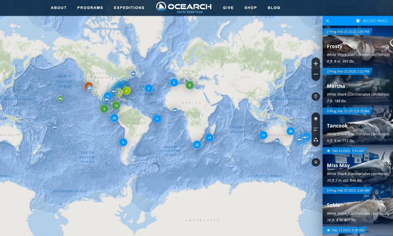 Ocearch Shark Tracker