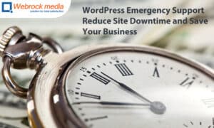 WordPress Emergency Support: Reduce Site Downtime and Save Your Business
