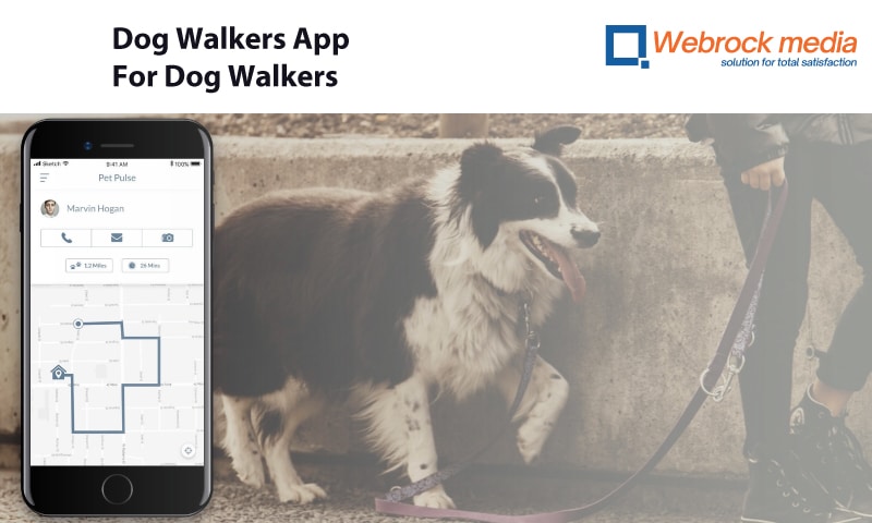 Dog Walkers App For For Dog Walkers