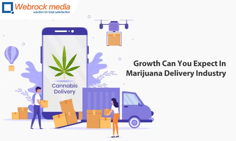 Growth Can You Expect In Marijuana Delivery Industry